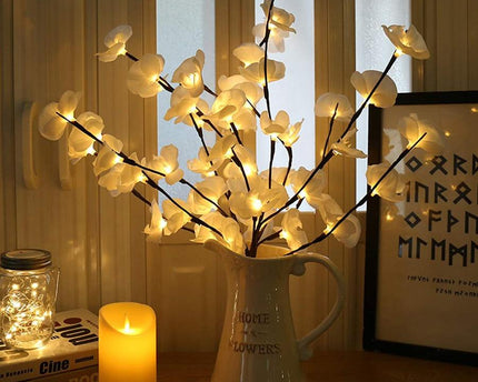 Orchideen Zweig Licht