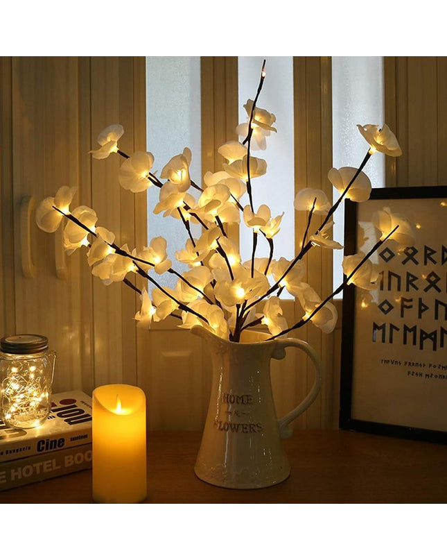 Orchideen Zweig Licht