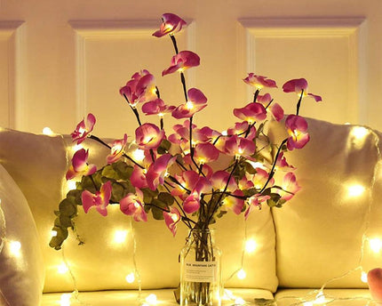 Orchideen Zweig Licht