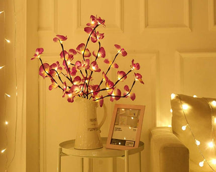 Orchideen Zweig Licht