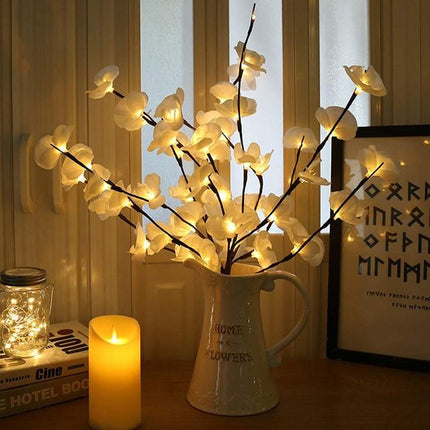 Orchideen Zweig Licht