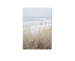 50x70cm Unrahmt / Bild D