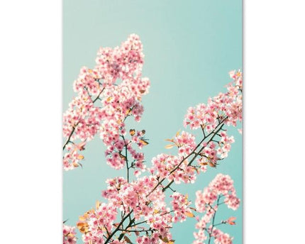 Blossom Canvas